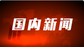 王忠林视频会见荷兰海尔德兰省省长约翰·贝伦兹