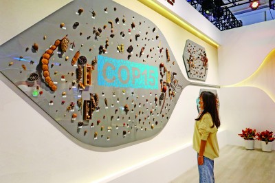 共建地球生命共同体，我们在行动