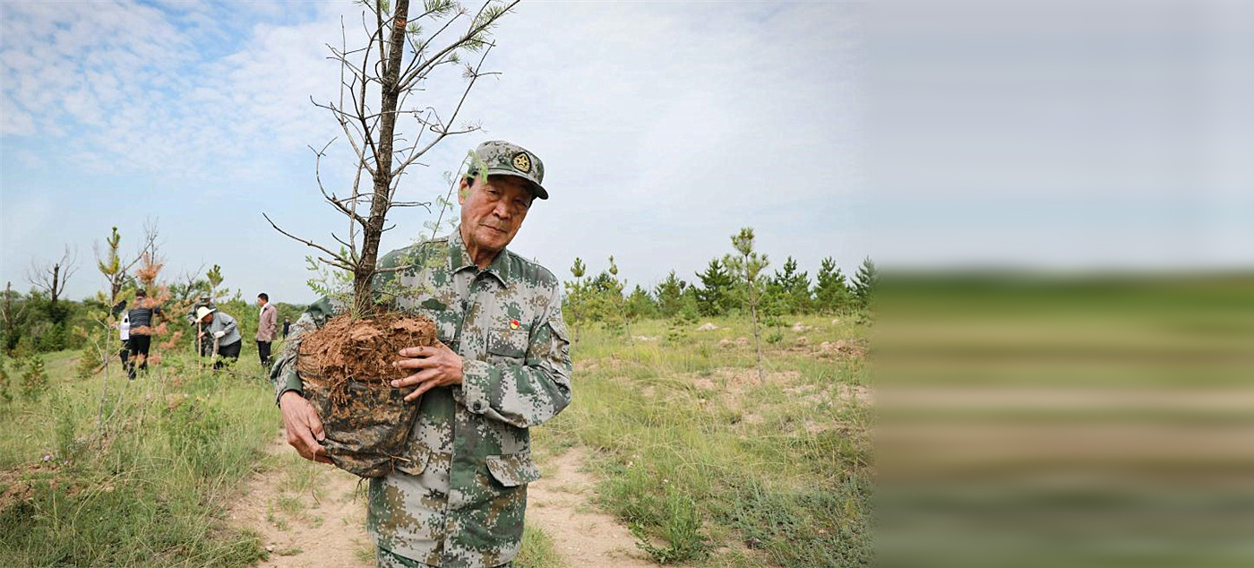 18年植树万余亩 这是老将军最后一个战场