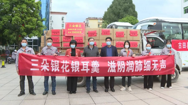 福建宁德古田“银耳姐姐”助力家乡抗疫