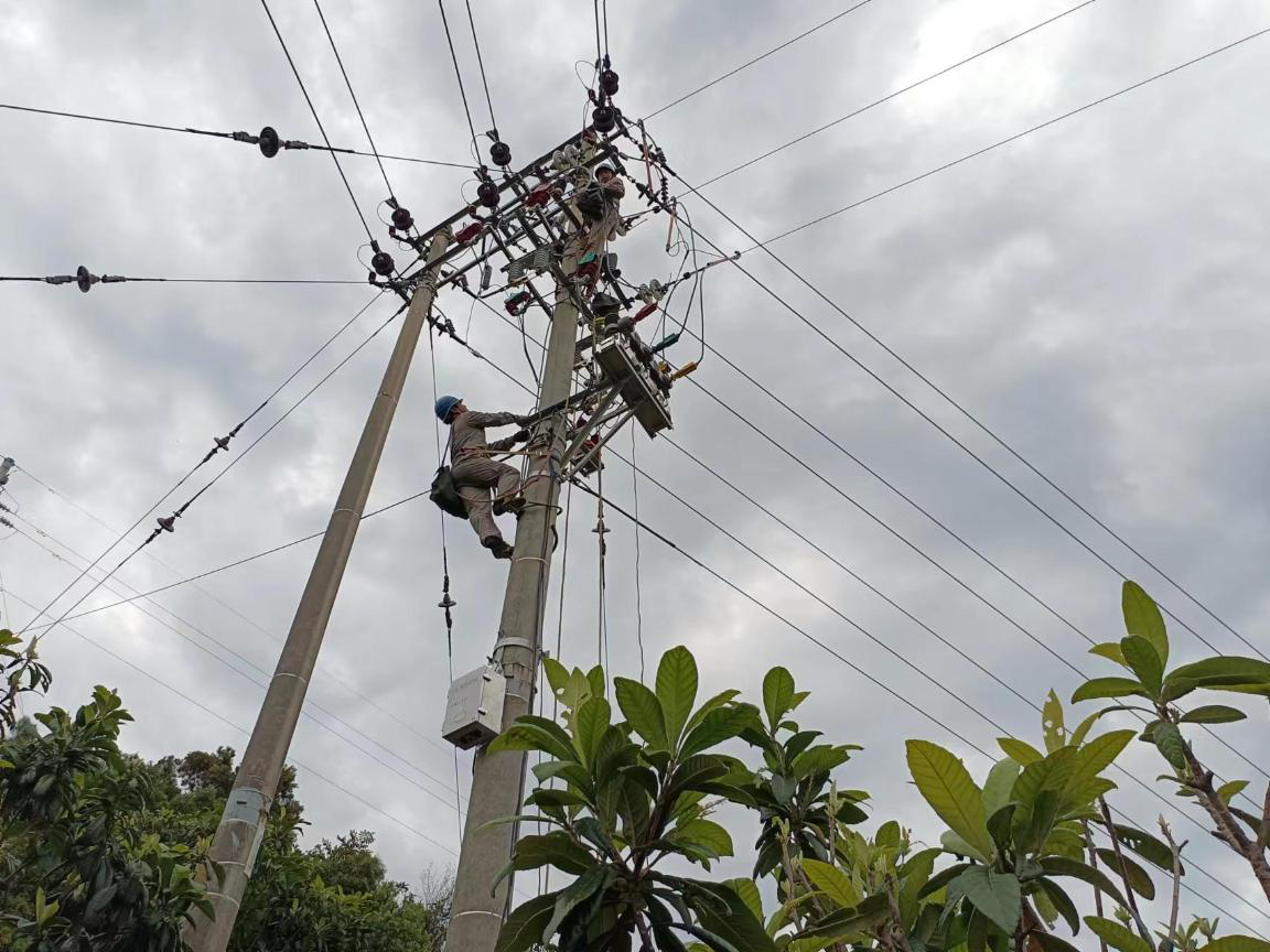 福建云霄供电：防雷改造线路 确保供电可靠性