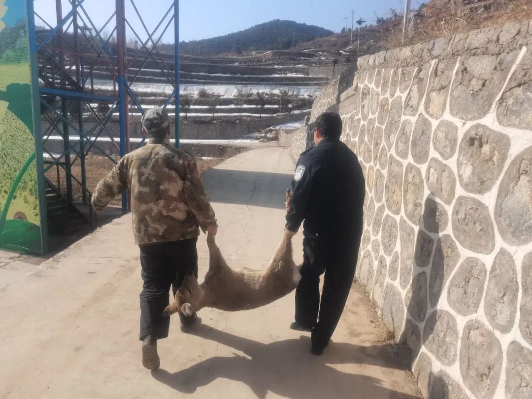 是什么让长治壶关公安的“心”“小鹿乱撞”