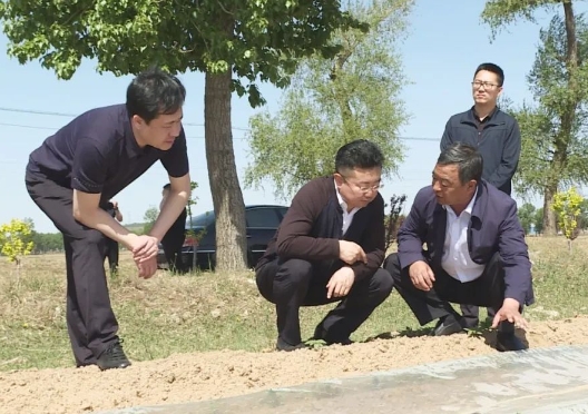 微信截图_20240330154445.png