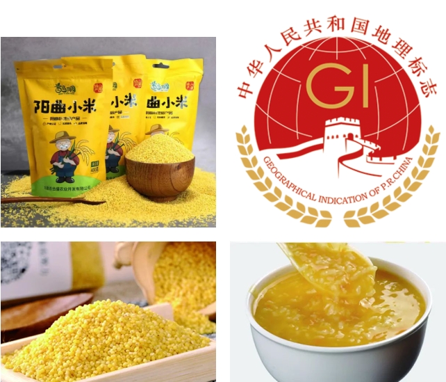 微信截图_20240423185920.png 微信截图_20240423185920.png