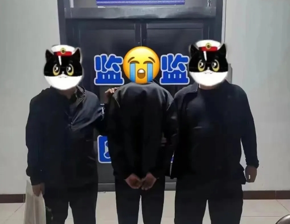 见“材”起意？“顺手牵羊”也是偷！