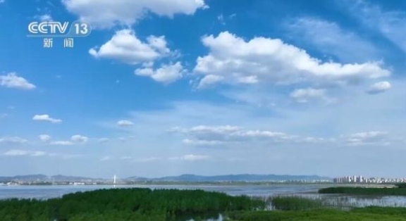 微信截图_20240527180541.png 微信截图_20240527180541.png