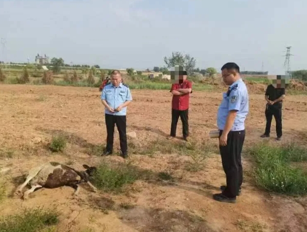 微信截图_20240628080742.png