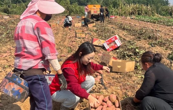 微信截图_20241008214509.png 微信截图_20241008214509.png