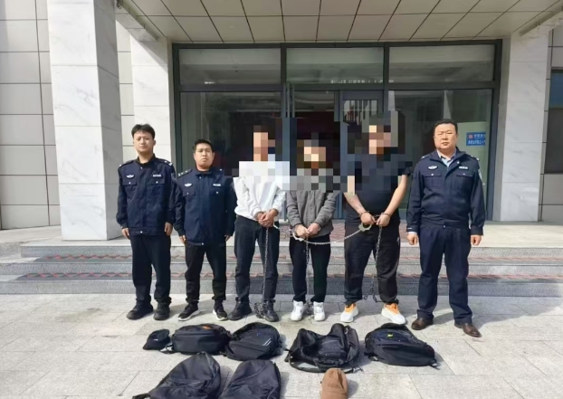 微信截图_20241023113421.png