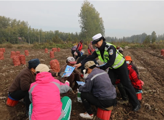 临汾洪洞：药材丰收季   田间地头“摆讲堂”有“新”更有“心”