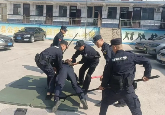 图片6.png 图片6.png