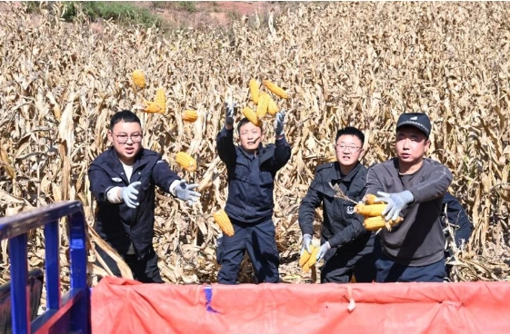 微信截图_20250101114625.png 微信截图_20250101114625.png