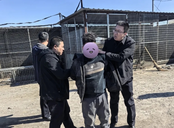 朔州：“偷狗大盗”落网！