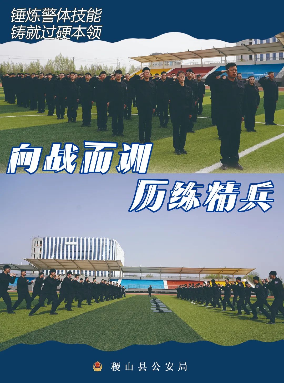 5.jpg 5.jpg