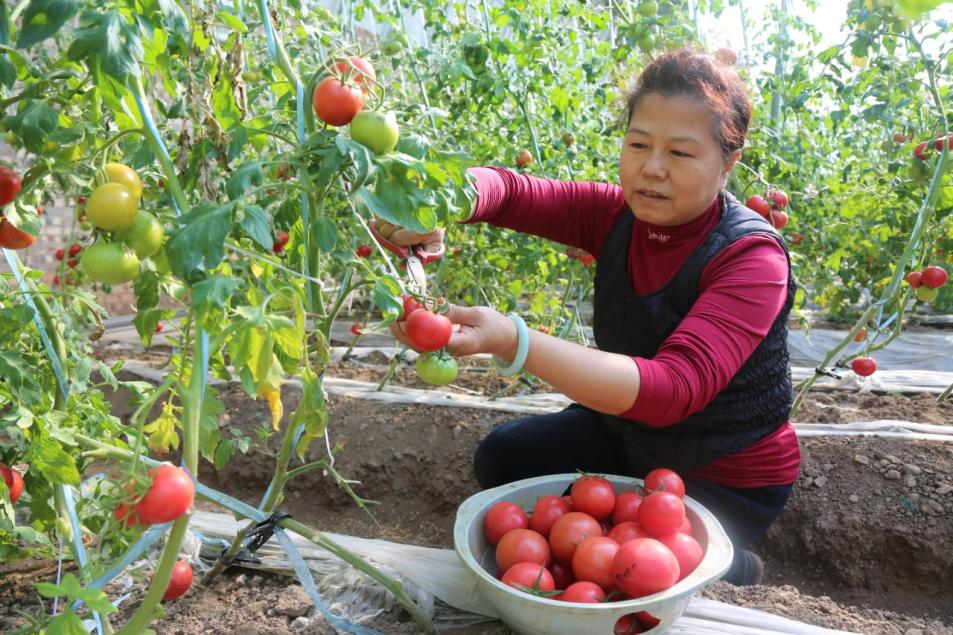 微信截图_20250421184111.png 微信截图_20250421184111.png