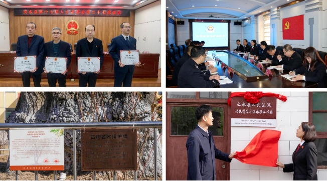 微信截图_20250507183241.png