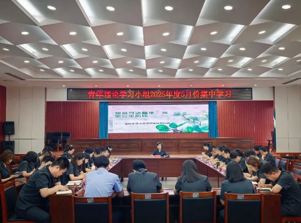 临汾洪洞法院组织开展青年理论学习小组5月份集中学习