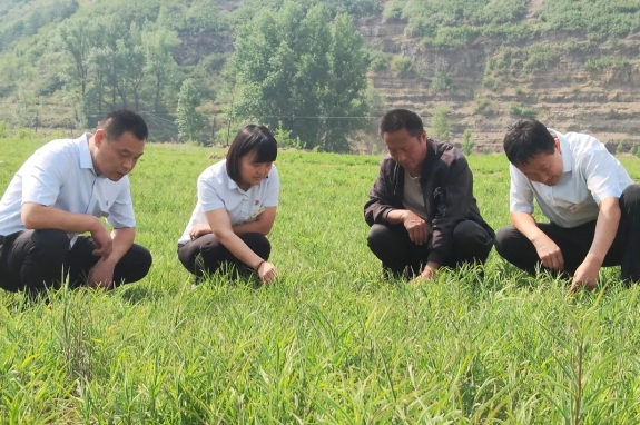 微信截图_20250530203518_副本.png