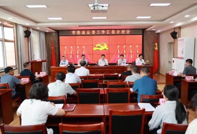 忻州市委政法委工作汇报分析会召开