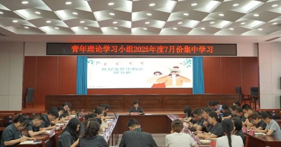 临汾洪洞法院组织开展青年理论学习小组7月份集中学习