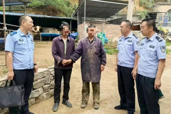 太原娄烦：贪吃牛“组团”闯祸   民警调解促和谐