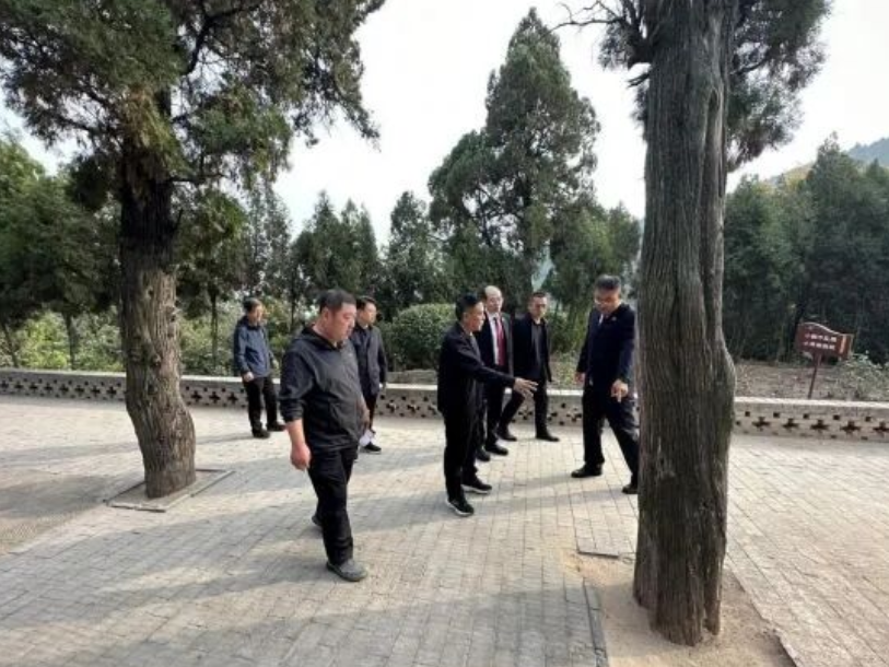 碧梧栖凤护根脉  听证聚力焕新枝——吕梁交城县人民检察院办理督促保护古树名木行政