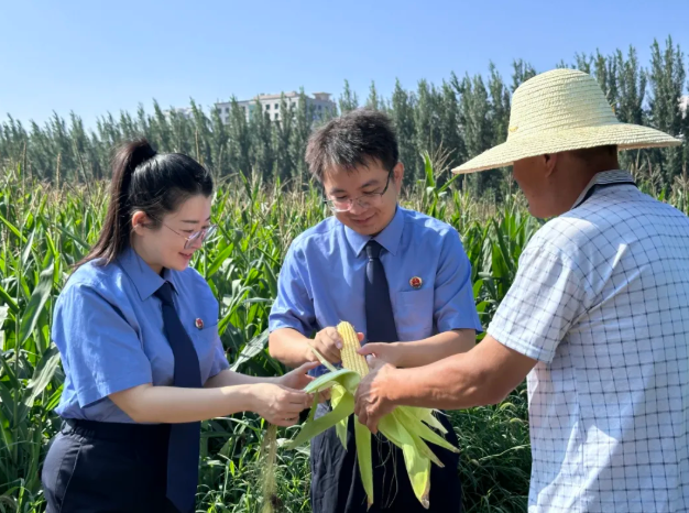 长治市屯留区人民检察院：以检察之力保护耕地，让沃土新生！
