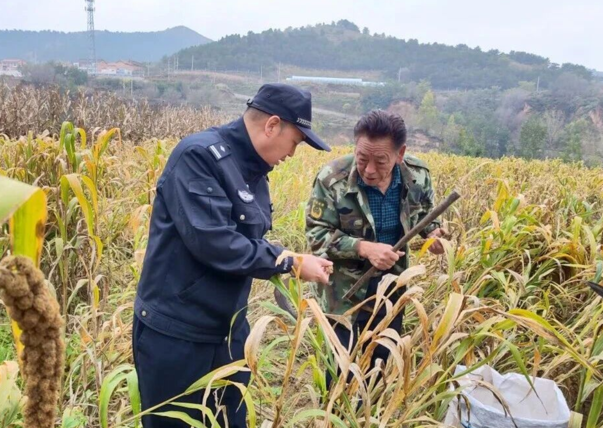 长治壶关：阳光下的“警察蓝”守护大地“丰收黄”