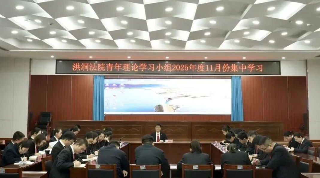 临汾洪洞法院组织开展青年理论学习小组11月份集中学习