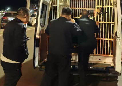 ScreenShot_2025-12-05_174120_315.png ScreenShot_2025-12-05_174120_315.png