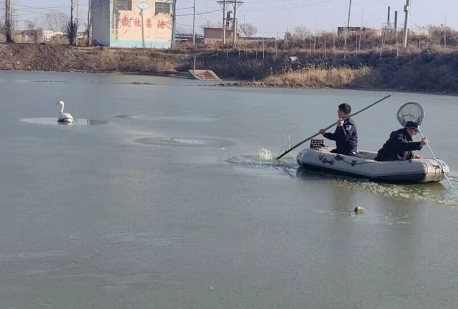 ScreenShot_2025-12-12_115151_642.png ScreenShot_2025-12-12_115151_642.png