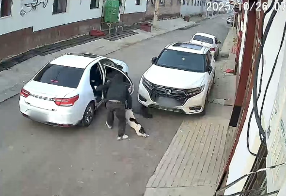 ScreenShot_2025-12-25_101702_998.png ScreenShot_2025-12-25_101702_998.png