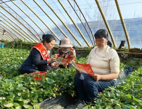 临汾浮山农商银行：践行金融为民  护航消费安全