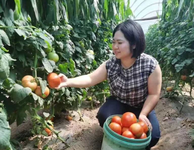 ScreenShot_2026-08-03_192530_459.png ScreenShot_2026-08-03_192530_459.png
